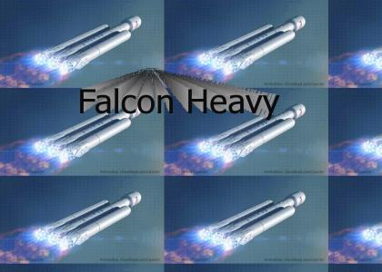 Speedy speedy boy Falcon