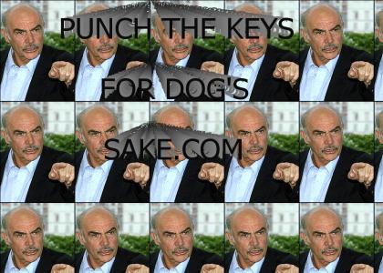 Punch The Keys, For Dog's Sake