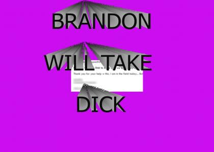 Brandon will work dick