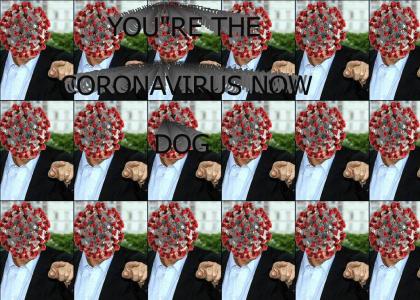 You're the Coronavirus now Dog