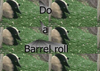 Panda barrel roll