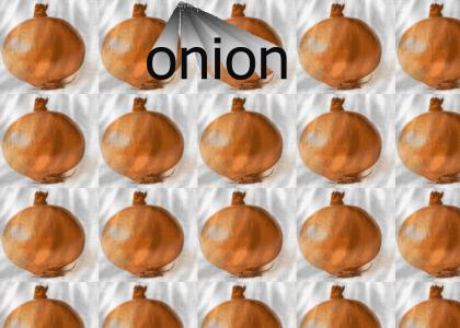 onion onion