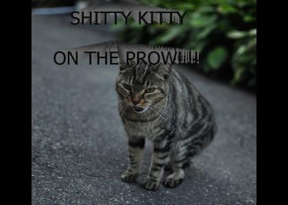 SHITTY KITTY ON THE PROWL