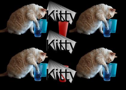 Kitty Kitty Kitty