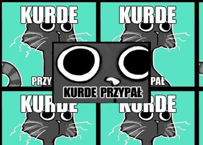 kurde przypał