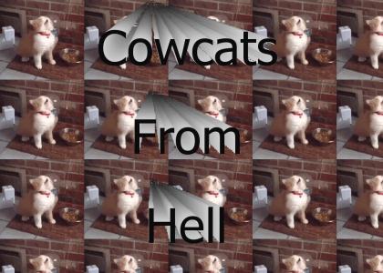 Cowcats From Hell