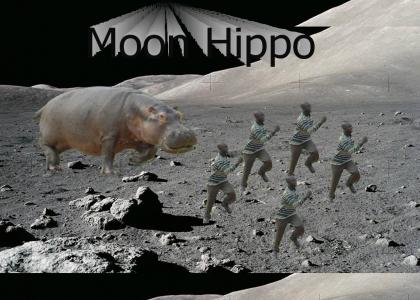 Moon Hippo!