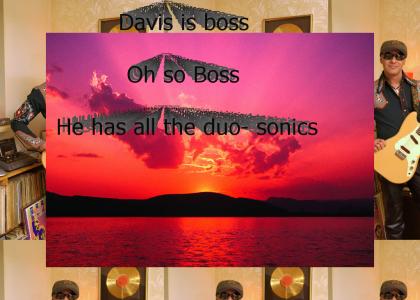 Davis rocks