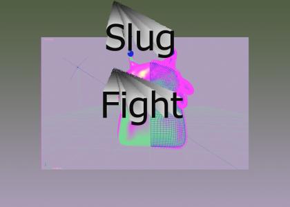 SlugFight