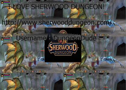 I Like To Play Sherwood Dungeon
