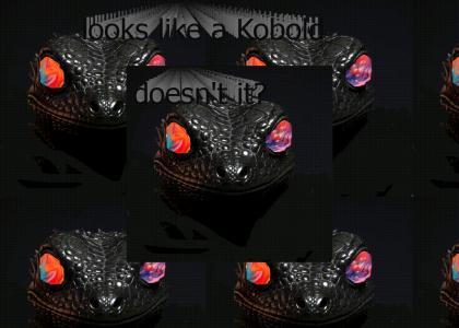 the mighty morphing dungeon and dragons otherkin adventurers the mighty morphing dungeon and dragons otherkin adventurers