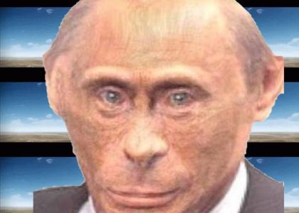 putin monkey