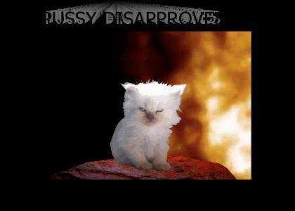 PUSSY OF DISAPPROVAL