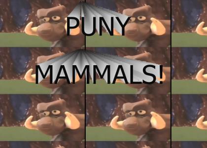 Puny Mammals