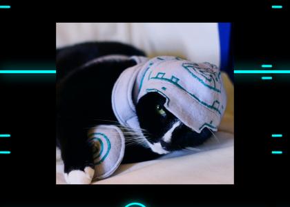 Tron Cat Abides