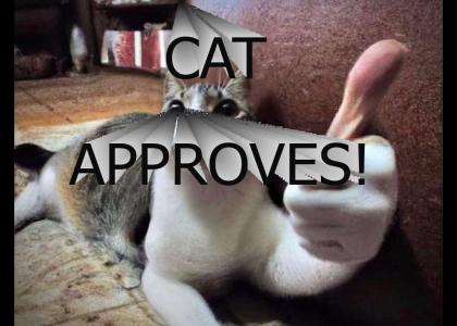 Cat Approves
