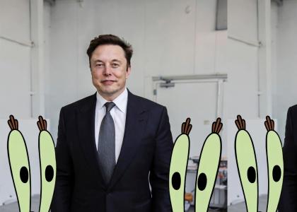 Mr Krabs and Elon Musk spam YTMND because fuck niggers