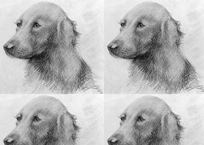 drawing of a dog