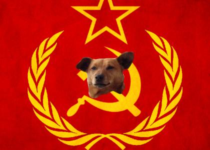 Soviet Jill