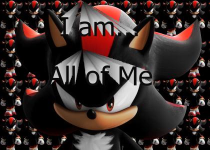 shadow the hedgehog shadow the hedgehog