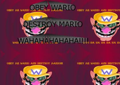 OBEY WARIO, DESTROY MARIO