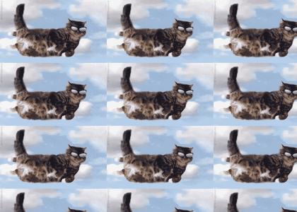 flying farting cats