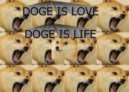 DOGE