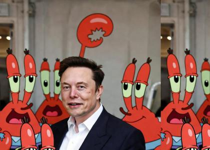 Mr Krabs and Elon Musk do the monkey goldberg