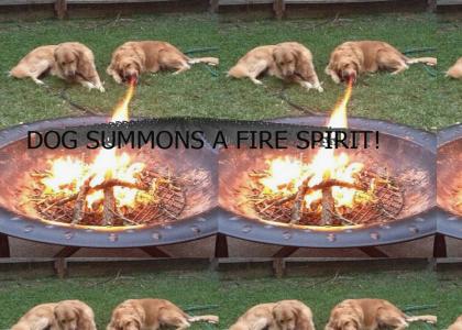 Dog summons a fire spirit