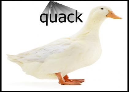 vinny the duck