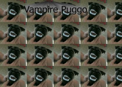 Vampire Puggo