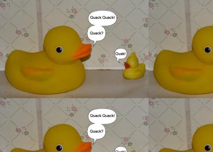 Quacking ducks