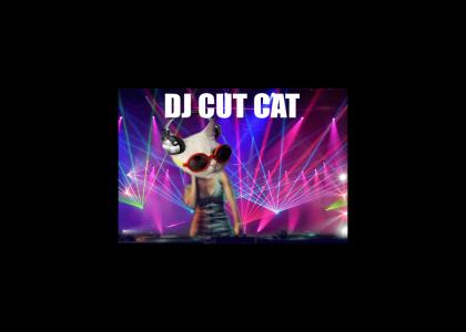DJ Cut Cat in the House