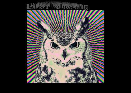 Psychedelic owl