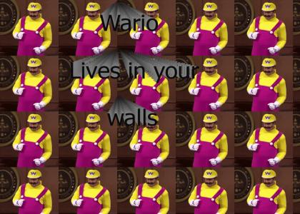 Wario lives in your walls