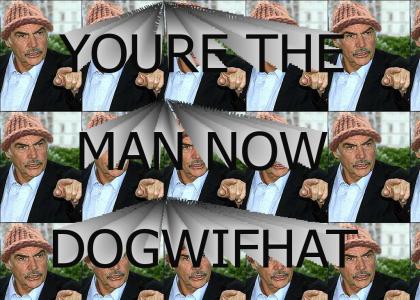 You're the man now dogwifhat!