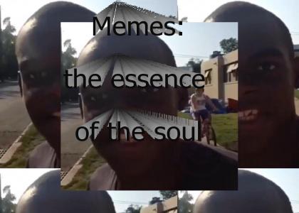 Memes: the essence of the soul