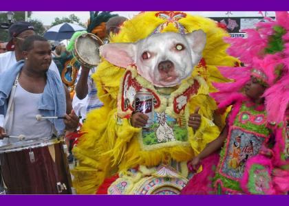 Big Chief Flea and the Wild Flopitoulas!!!