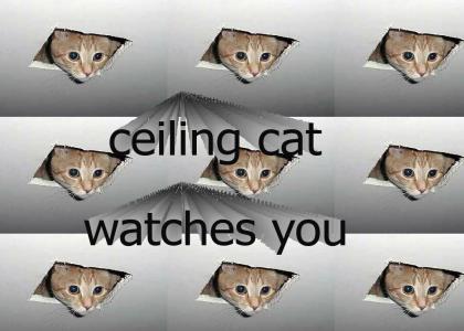 ceiling cat watches you