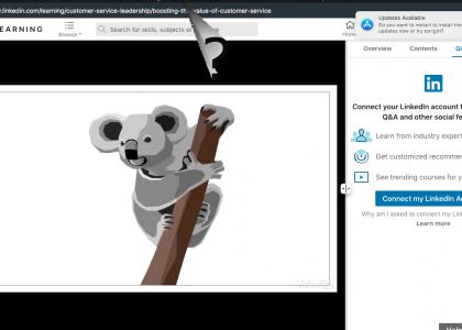 LinkedIn Learning Koala