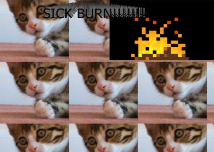 Sick Burn Kitty
