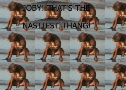 JOBY, THAT'S THE NASTIEST THANG!