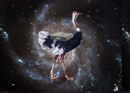 Ostrich with a Transmitter Protects the Galaxy