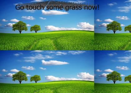 Go Touch Some Grass NOW!