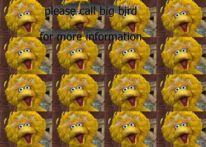 Please Call Big Bird