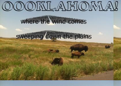where the wind comes sweeping down the plains