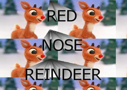 red nose reindeer