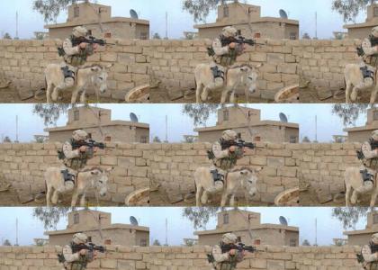 Danno rides a donkey in Iraq