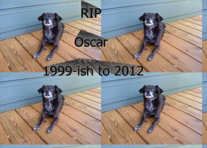 RIP Oscar
