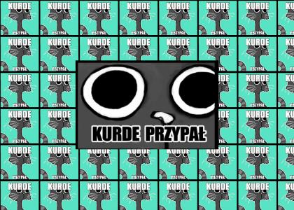 kurde przypaaaał